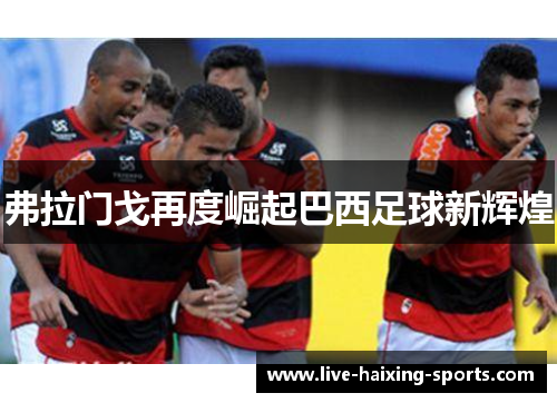 弗拉门戈再度崛起巴西足球新辉煌 弗拉门戈再度崛起巴西足球新辉煌